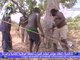 Film COURT METRAGE Tchad | Environnement et lutte contre le braconnage au Tchad