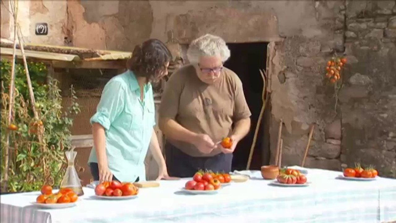TV3 - Dimecres, 22.35, a TV3 - Tomàquets i patates, a "Collita pròpia"
