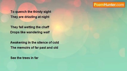 Irfan Salimi - A Raining Night