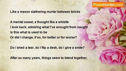 Peter Vector - Did I Lose My Spark?