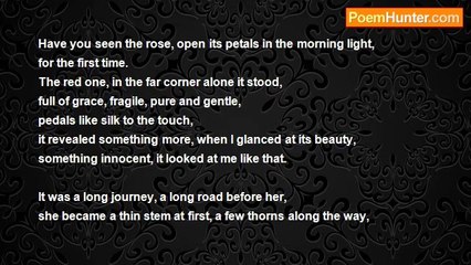 Kasia Fedyk - The rose