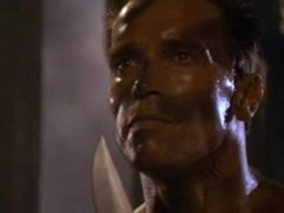 Freddie Mercury  schwartzenegger