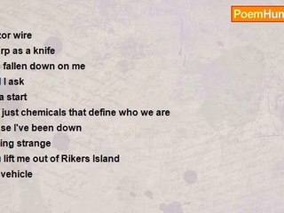 Scott Gervaise - Pucker Wind.