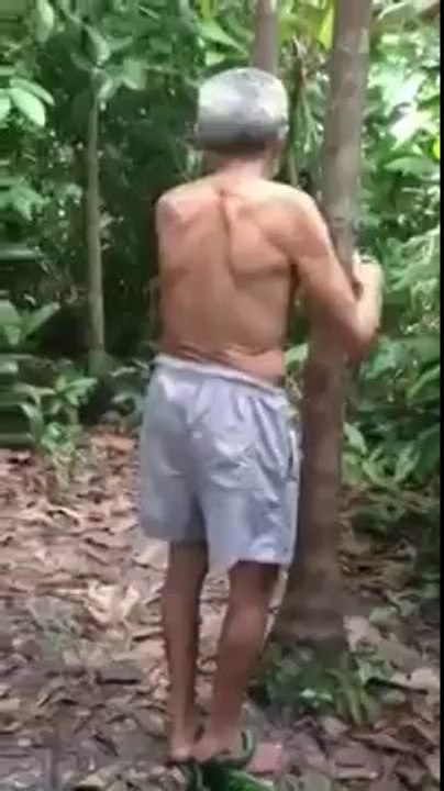 Méthode pour Monter à l'arbre très facilement. Et descendre...