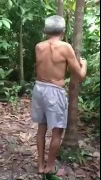 Méthode pour Monter à l'arbre très facilement. Et descendre...