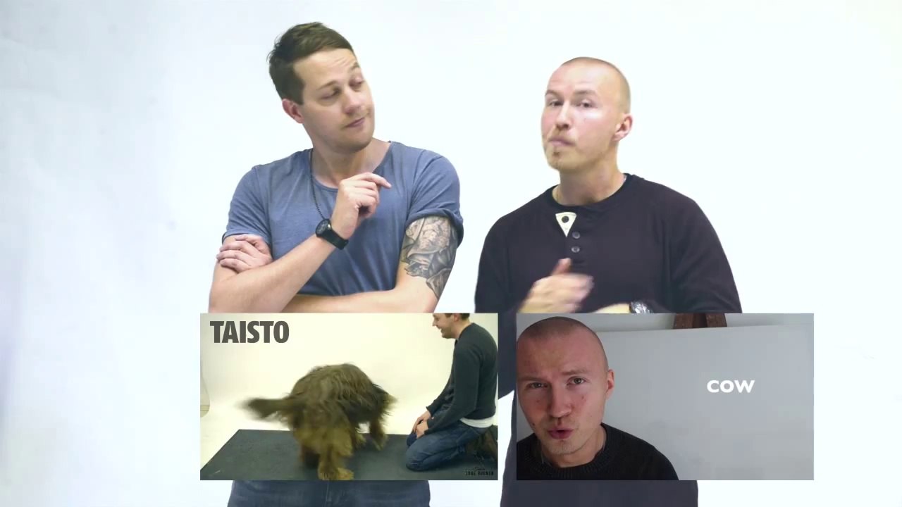 Comment les chiens réagissent au aboiements d'humains !