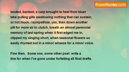 Warren Falcon - Because They Rhyme They Live, Not I