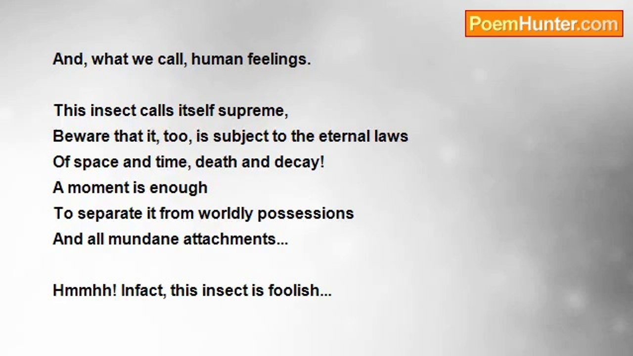 Debasish Mishra - AN INSECT