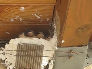 la gourmandise est un vilain défaut !!!