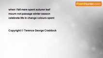 Terence George Craddock (Spectral Images and Images Of Light) - When I Fall