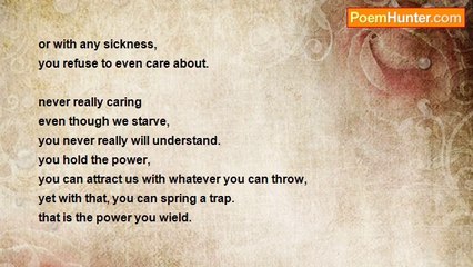 Samuel Chung - Like strays