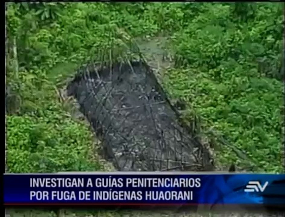 Fuga huaoranis