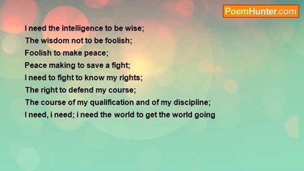 Dandy Columns – The World I Envision 🌍