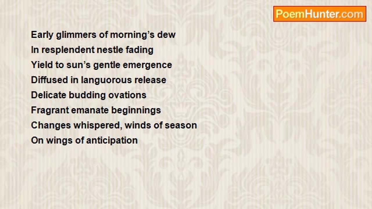 Don MacIver - Beginnings