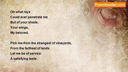 My Lady Eagle - Lines, Vines and Trying Times