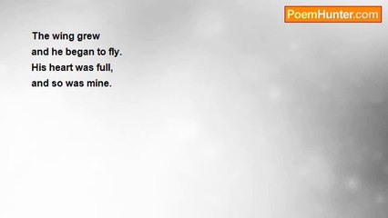 Kassy Riggle - A Man