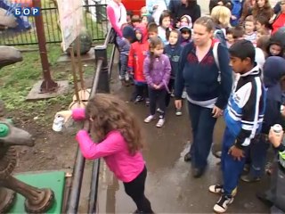 Ptica Robot stigla u Bor