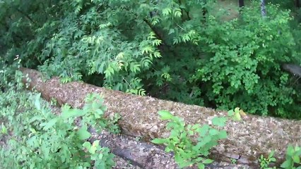 Оборона домика с крыши