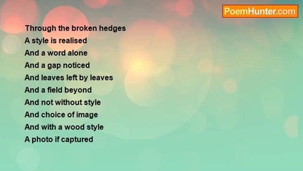 michael oliver - To A Style