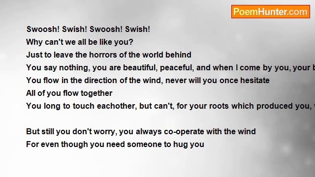 Chantal Gumbs - The Trees