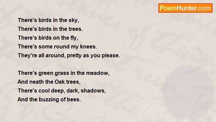 Juan Olivarez - There's Birds In The Sky