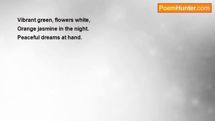 Juan Olivarez - Orange Jasmine (Haiku)