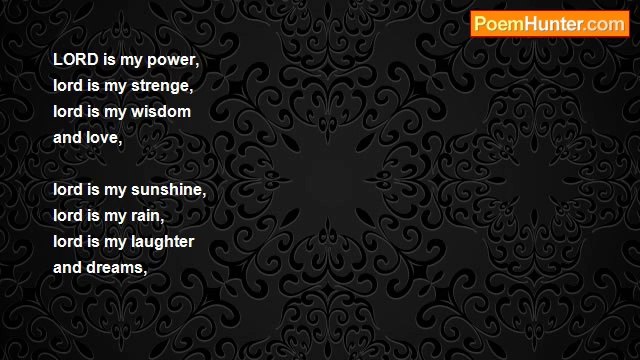 david gerardino - DAVIDS BIRTHDAY