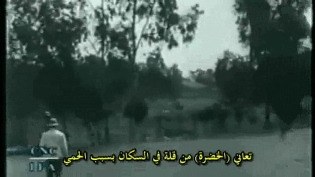 فلسطين 1913 وفترة الإستيطان اليهودي