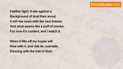 Way Lenn - Perfect minute