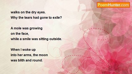 Satish Verma - A SOMBER NIGHT