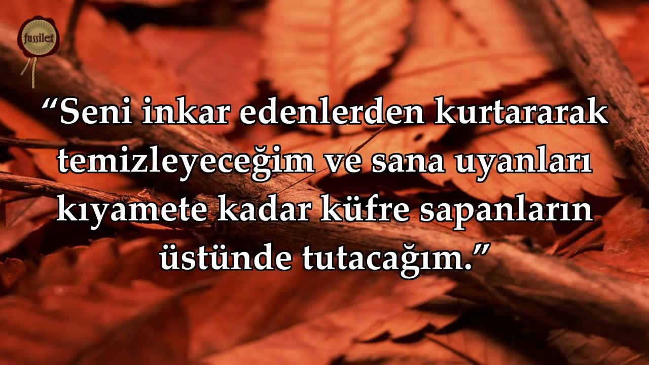 3 Ali İmran Suresi 1. bölüm - Nasser al Qatami