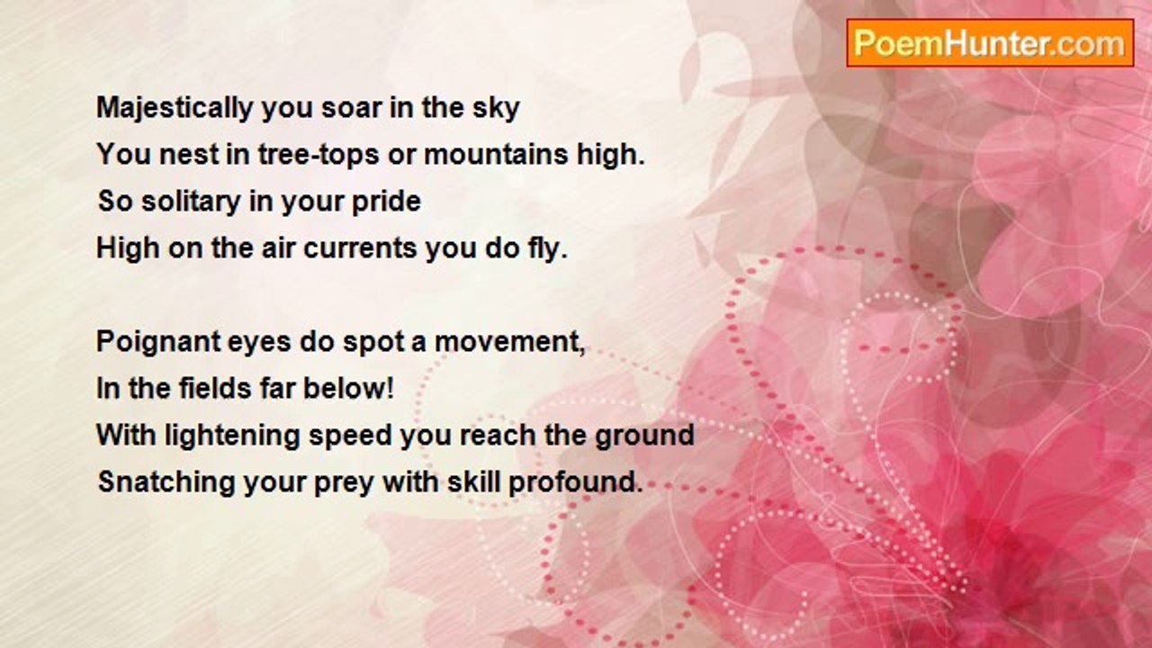 Himanshu Bhandari - The Eagle
