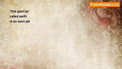 Nizamettin Esen Haymanali - Giant Jar