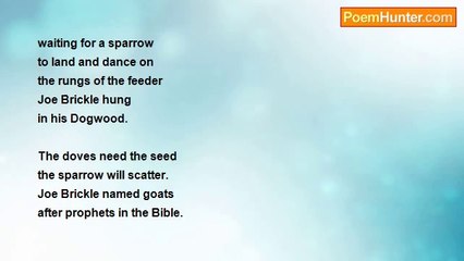 Donal Mahoney - Pedro, Pablo and Little José