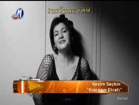 Sevim SEÇKİN-Fincanın Etrafı Yeşil