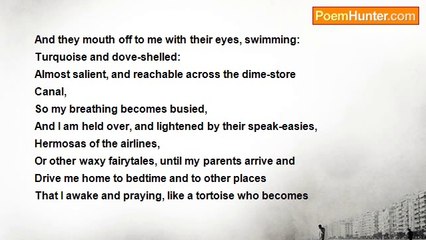 Robert Rorabeck - In His Shell