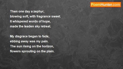 Jojoba Mansell - Desolation and Despair