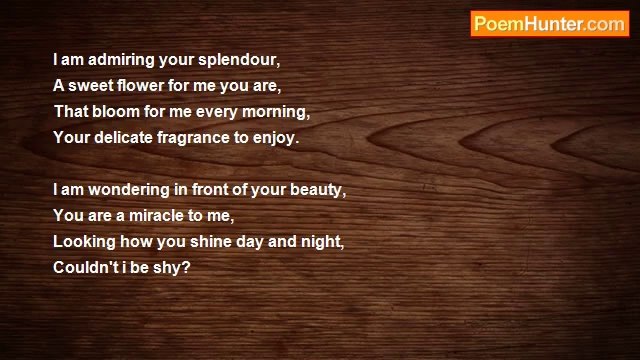 Cristina Teodor - Couldn't I Be Shy?