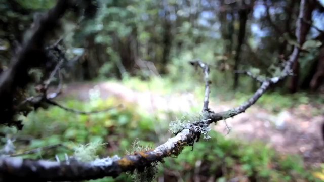 Mountain Biking // Himalaya Mountain Bike Tour Trailer ( EDGE sport )