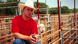 Crazy World of Professional Bull Riding | Trans World Sport