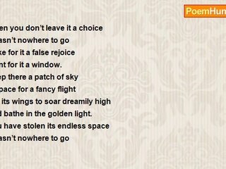 Pradip Chattopadhyay - When You Hold Captive