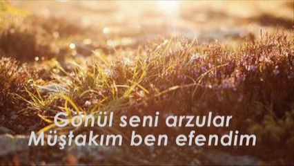 Sevdim Seni Gönülden 2014 ilahi dinlet