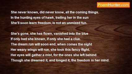 Pradip Chattopadhyay - Freedom