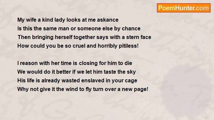 Pradip Chattopadhyay - Odd Bird Out