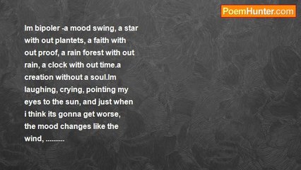 david gerardino - RAIN FOREST