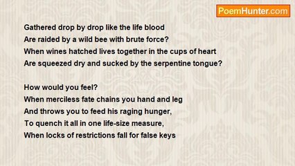 sree Jothi - Licensed Rape