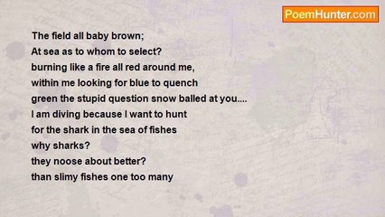 malini kadir - When Fire  Was At Sea