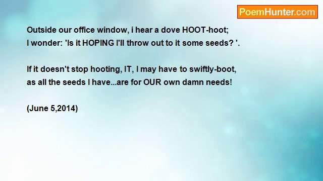 Bri Edwards - The HOOTING Dove ...... [BIRDS; personal; selfishness; VERY SHORT]