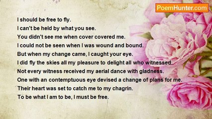 Timothy Branch - Flight Disruption