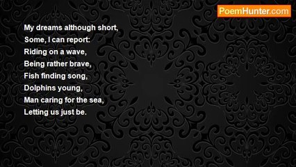 Stephen Katona - A Dolphin's Dreams